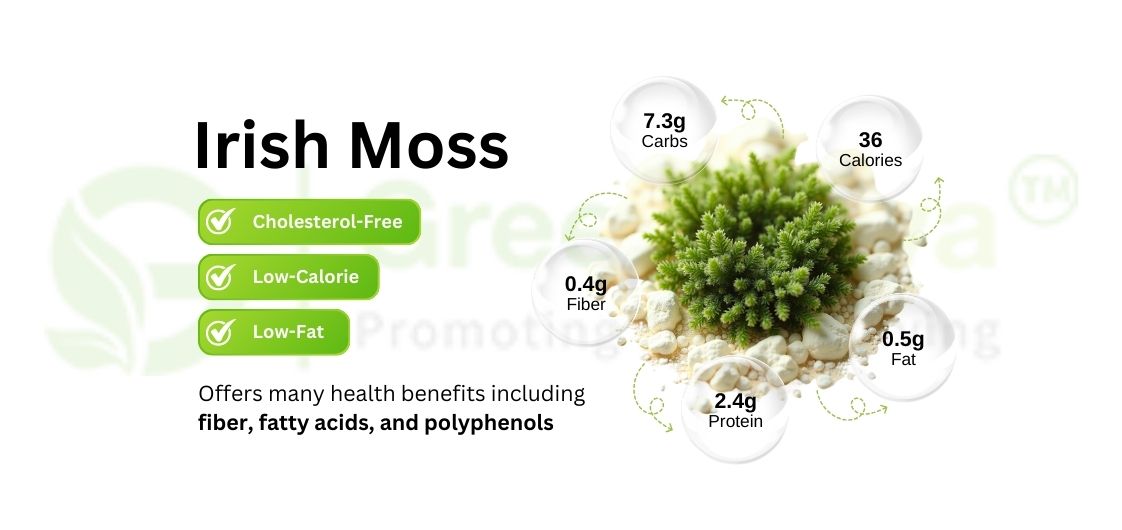 Nutritional Highlights of Irish Moss Powder